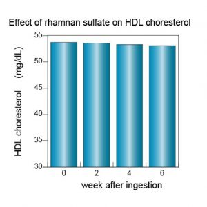 anticholesterol-hdl%e3%82%b3%e3%83%ac%e3%82%b9%e3%83%86%e3%83%ad%e3%83%bc%e3%83%ab%e8%8b%b1%e8%aa%9e3