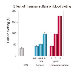 antibloodclotting_%e8%a1%80%e6%b6%b2%e5%87%9d%e5%9b%ba%e8%8b%b1%e8%aa%9e