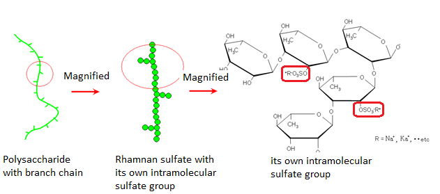 rhamnan-sulfate