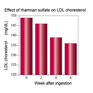 anticholesterol-ldl%e3%82%b3%e3%83%ac%e3%82%b9%e3%83%86%e3%83%ad%e3%83%bc%e3%83%ab%e8%8b%b1%e8%aa%9e2